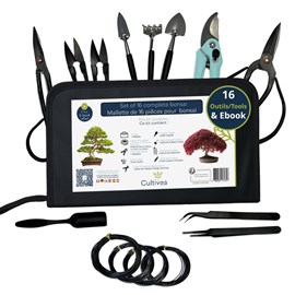 Lot de 32 outils complet bonsaï