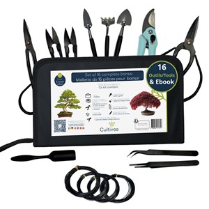 Lot de 16 outils pour bonsai