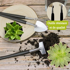 Lot de 32 outils complet bonsaï