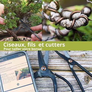 Lot de 32 outils complet bonsaï