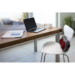 Coussin de massage shiatsu