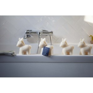 Lot de 2 savons au lait d'anesse