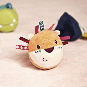 Set de 4 formes jungle