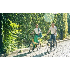 Vélo utilitaire familial dérailleur 6v