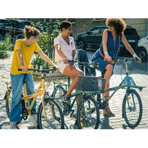 Vélo utilitaire famillial dérailleur 6v