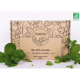 Kit jardinage - mes petits aromates : basilic, persil, coriandre, thym, ciboule