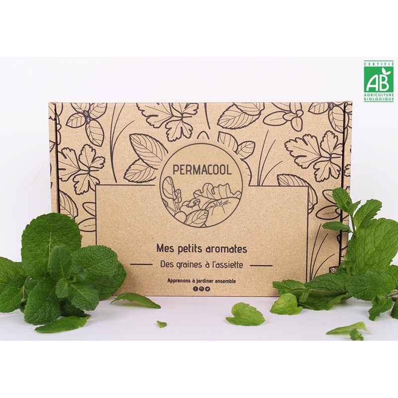 Kit jardinage - mes petits aromates : basilic, persil, coriandre, thym, ciboule