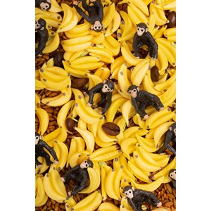 Bouteille sensorielle sound singe