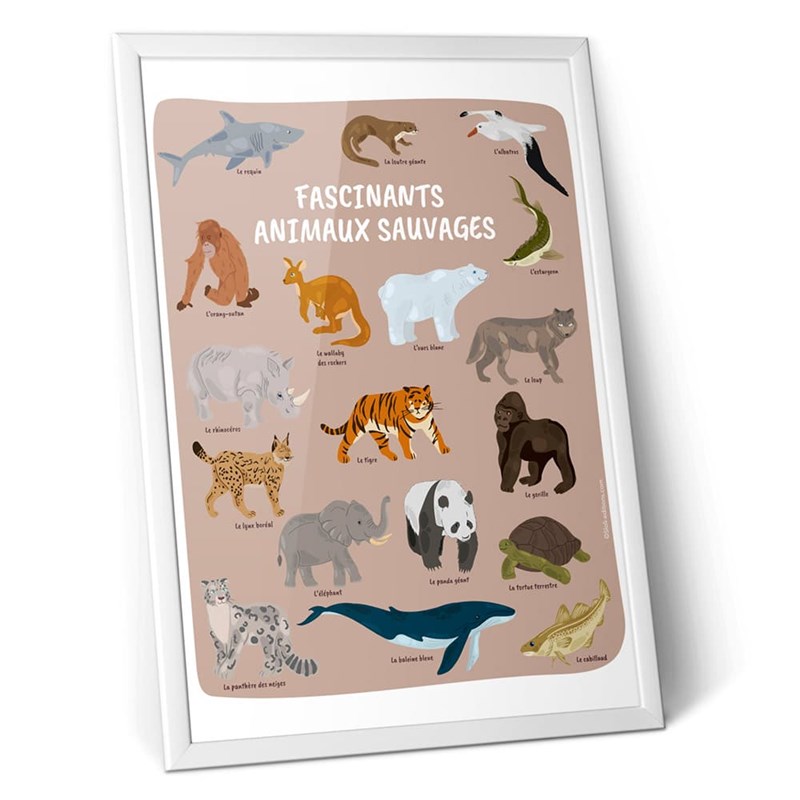 Sloli - Affiche nature - 18 animaux à protéger