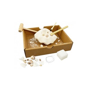 Coquillages à déterrer