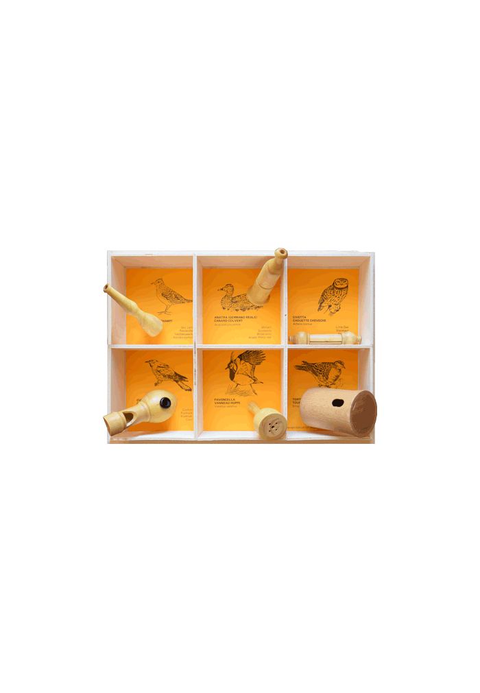 Coffret 5 Appeaux Oiseaux FUZEAU - Imitation Chants D'Oiseaux - Bois Naturel - Dès 4 Ans