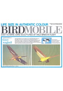 Birdmobile bergeronnette des ruisseaux