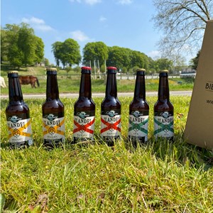 Coffret 6 bières bio insulaire