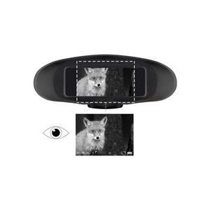 Jumelles numériques nv 3,5x avec enregis