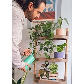 Étagère pour plantes à 4 plateaux pin