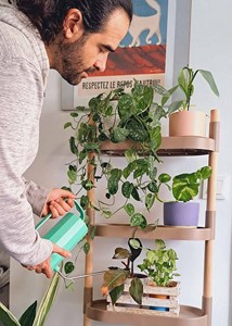 Étagère pour plantes à 4 plateaux pin