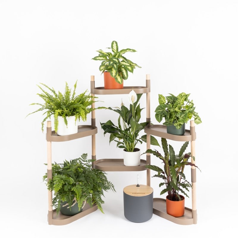 Citysens - Étagère pour plantes à 6 plateaux pin