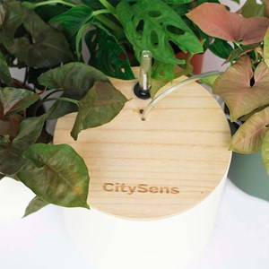 Arrosage smart blanc