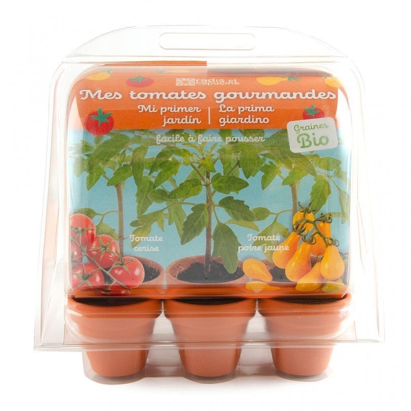 Serre enfant - tomates bio à cultiver