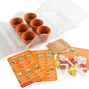 Serre enfant - tomates bio à cultiver