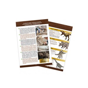 Tête de dinosaure à déterrer : t-rex