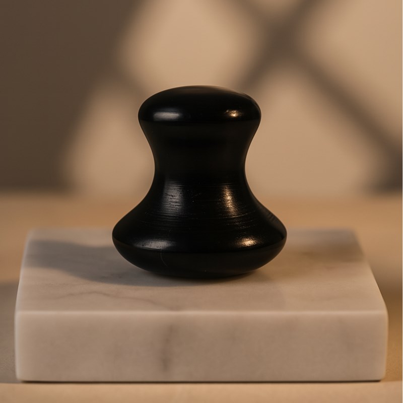 Champi guasha en serpentine noire