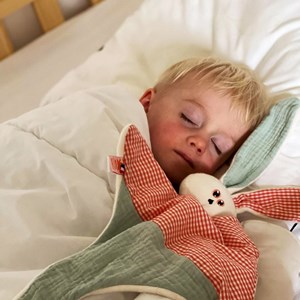 Doudou en coton bio gus