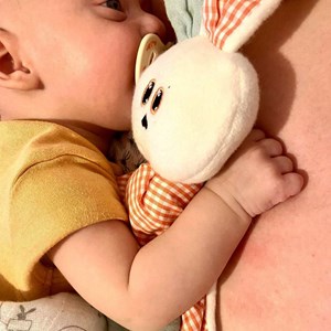 Doudou en coton bio gus