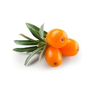 Argousier (pulpe) - huile végétale vierge bio - 30ml - flacon en verre