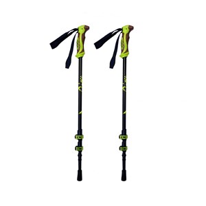 Paire de bâtons de marche ergonomiques