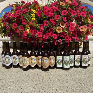 Coffret 15 bières bio sainte beuve