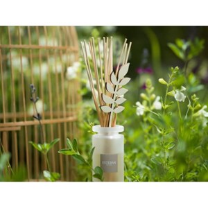 Bouquet parfumé  blanc coton