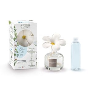 Fleur à parfum blanc coton