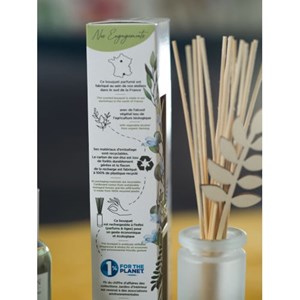 Bouquet parfumé  cèdre sauvage