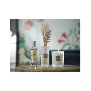Recharge bouquet fleurs d’oranger
