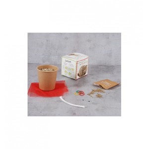 Coffret scolaire 10 tetes a pousser