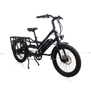 Vélo cargo elec 2de vie - rad power