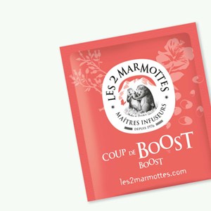 Infusion coup de boost - 30 sachets