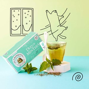 Infusion duo de menthes bio - 30 sachets