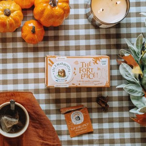 Thé noir bio thé fort épicé - 30 sac.