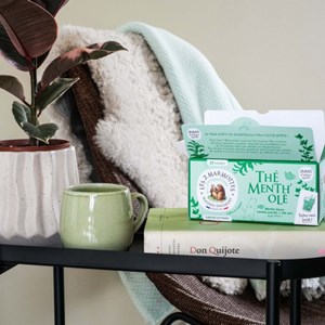 Thé vert bio thé menth'olé - 30 sachets