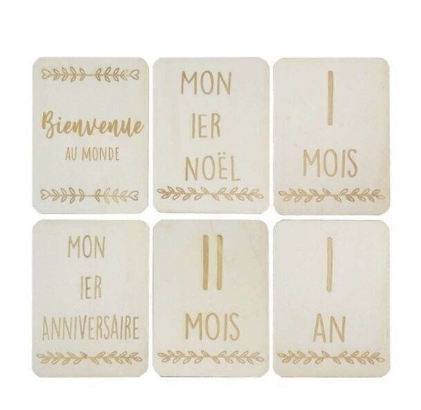 Lot de 15 cartes étapes rectangle