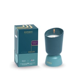 Bougie iconic color 220g figue noire