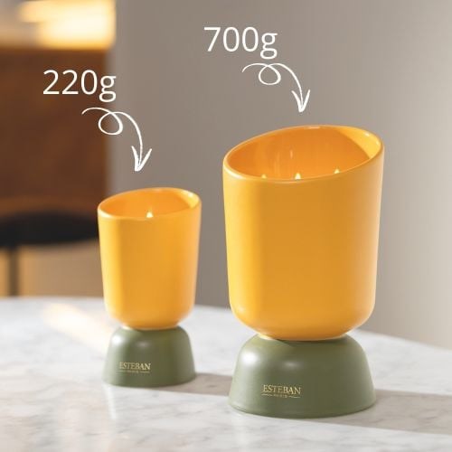 Bougie iconic color 220g néroli