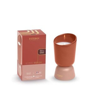 Bougie iconic color 220g teck & tonka