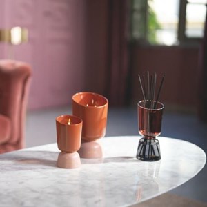 Bougie iconic color 220g teck & tonka