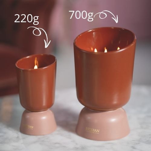 Bougie iconic color 700g teck & tonka