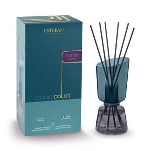 Bouquet iconic color figue noire