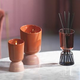 Bouquet  iconic color iris cachemire