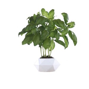 Jardin lévitation hexafly nordic - blanc
